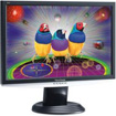 ViewSonic 22-inch LCD Flat Screen